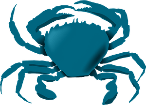 Blue crab