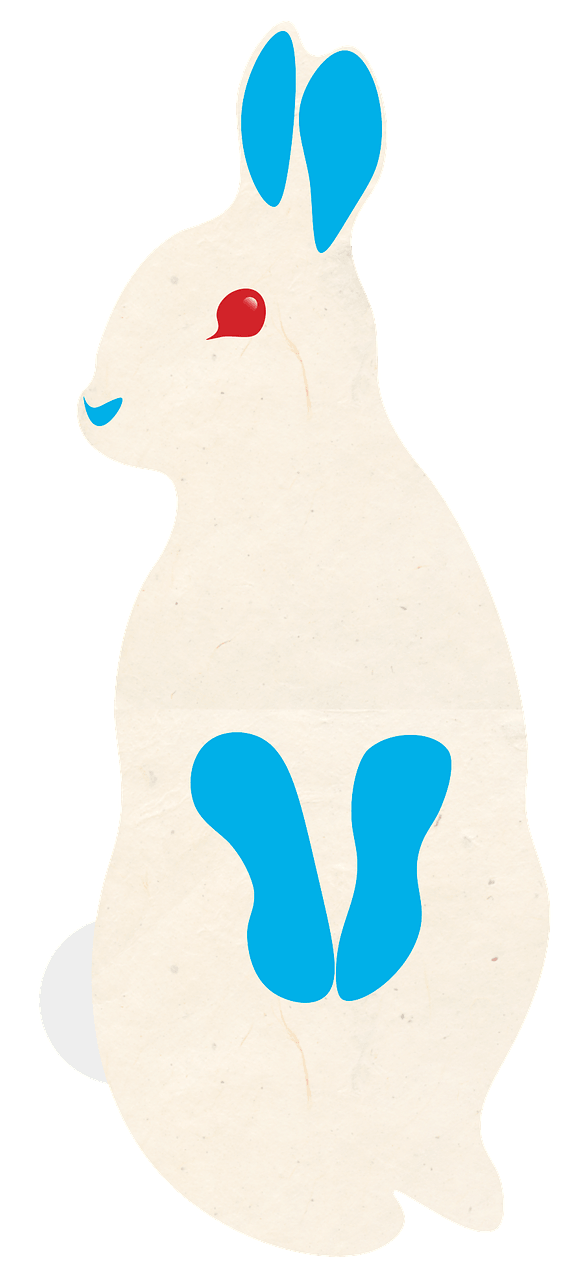 白兔子