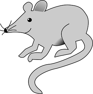 Smiling grey mouse