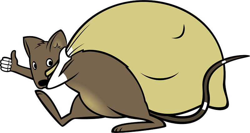 Mouse on the way