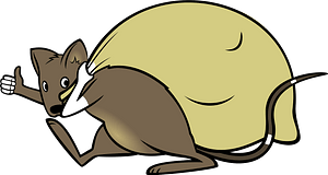 Mouse on the way