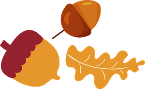 Acorns and oak leaf