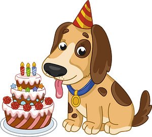 Birthday dog