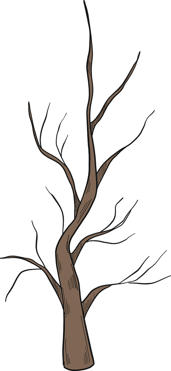 Arbre en hiver