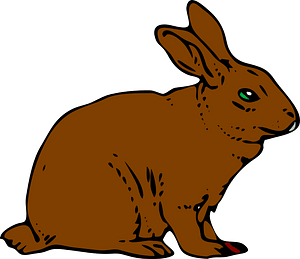 Brun hare