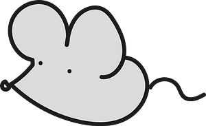 Little mouse