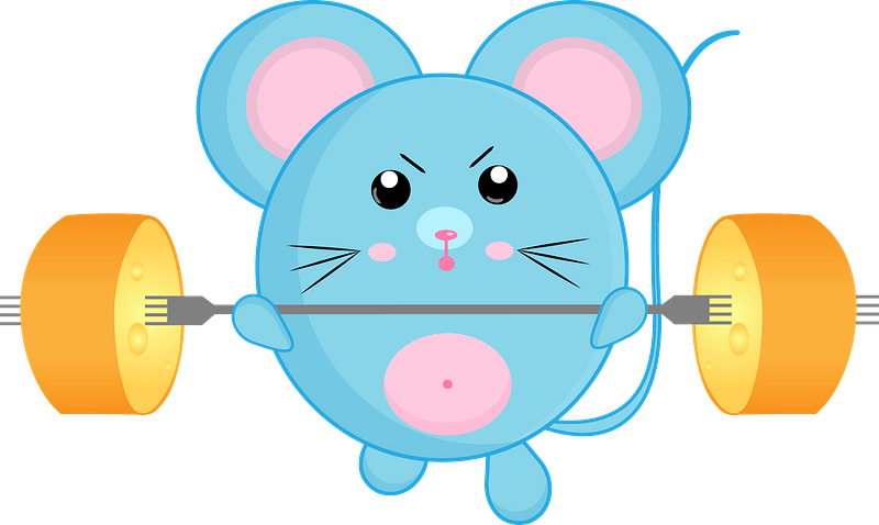 Cartoon mouse with barbell