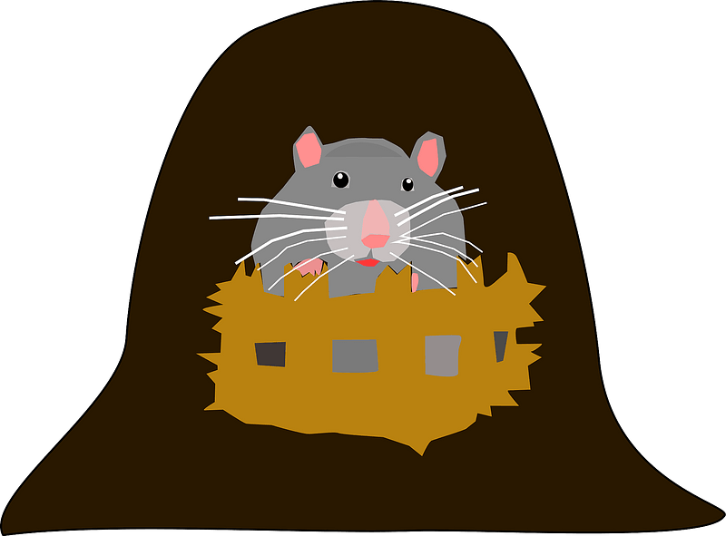 Mouse in her house