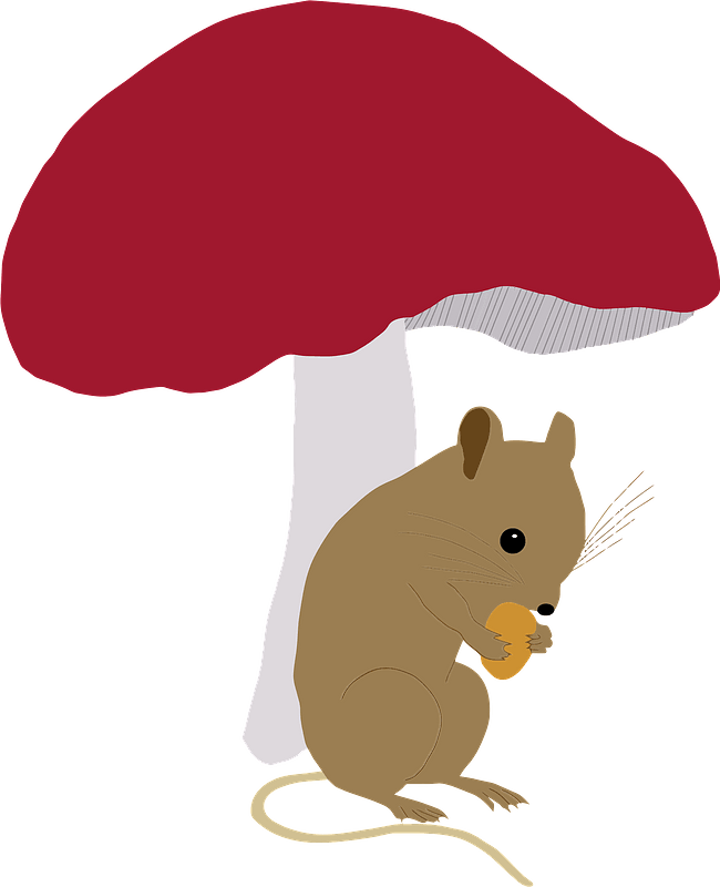 Field mouse under toadstool