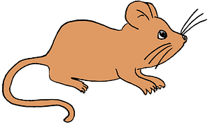 Сartoon mouse