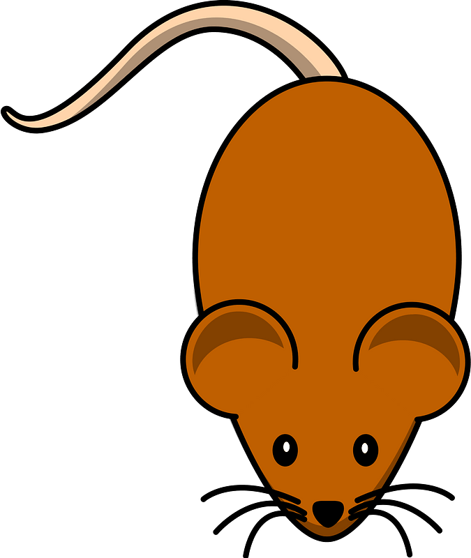 Cartoon brown mouse