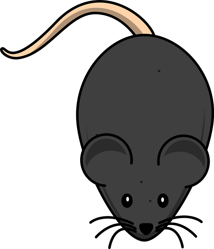 Cartoon black mouse