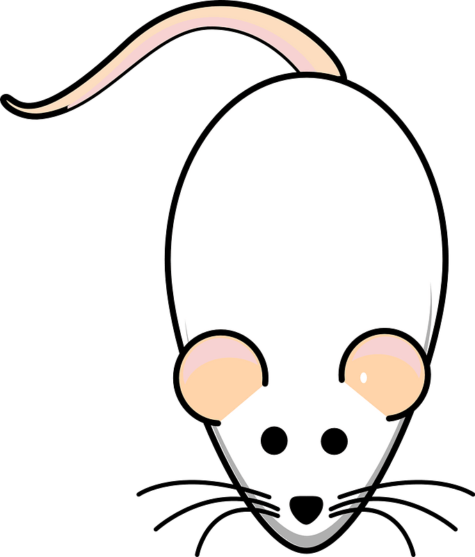 Cartoon white mouse