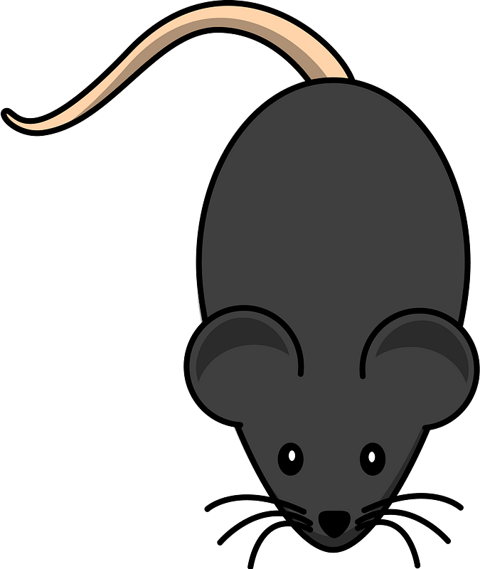 Cartoon grey mouse