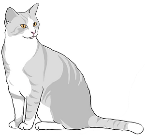 Grey cat - Free vector clipart images on creazilla.com