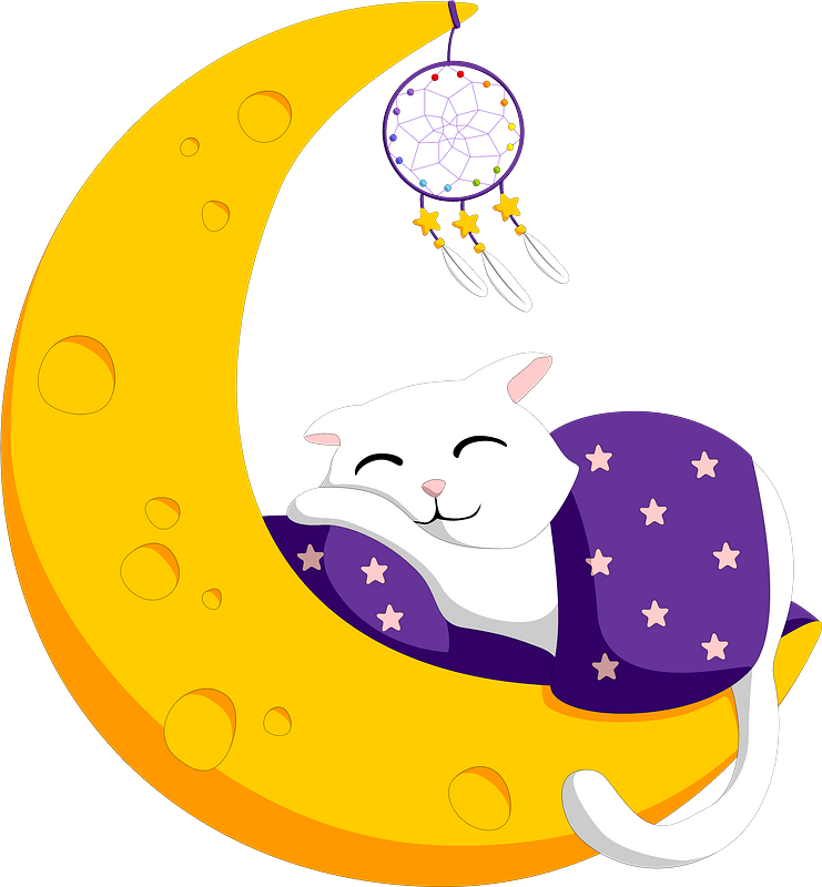 Cat sleeping on the moon