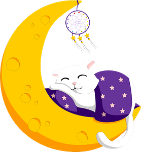Cat sleeping on the moon