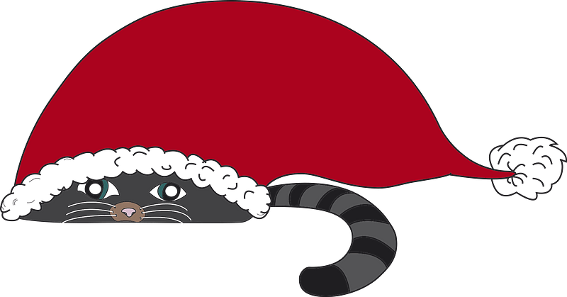 Cat hiding in Santa's hat