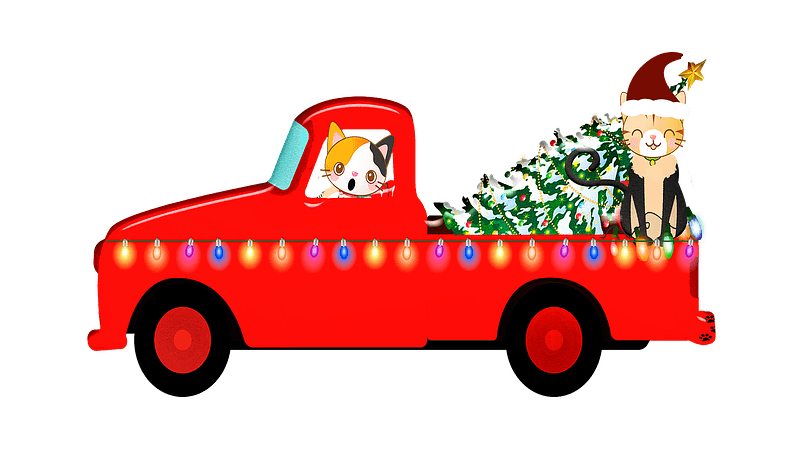 Christmas cats in the car