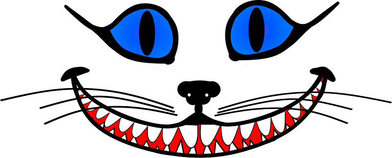 Cheshire cat face