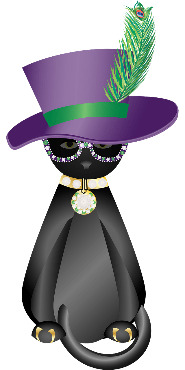 Dressed up cat