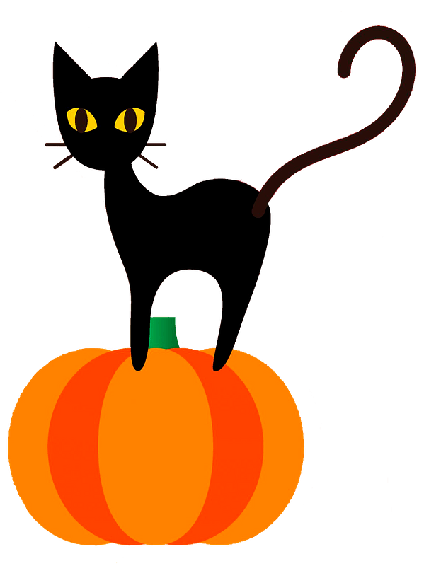 Black cat on a pumpkin