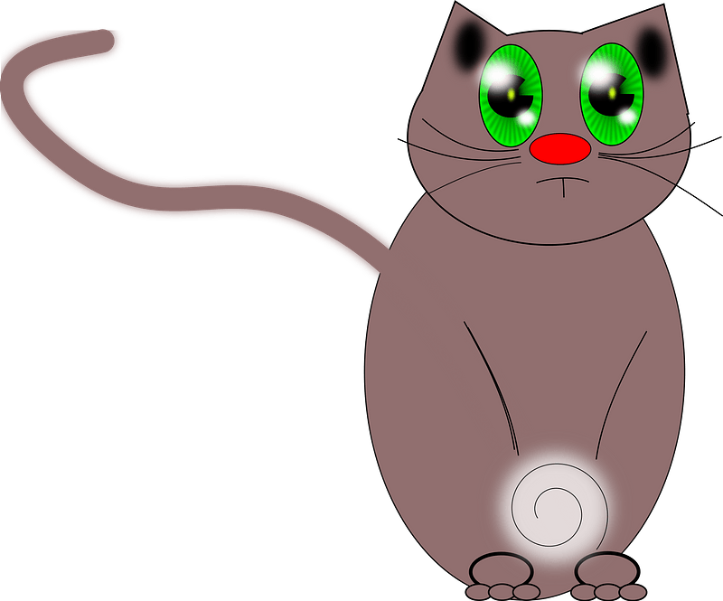 Cute green-eyed cat
