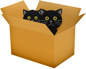 Black cats in box