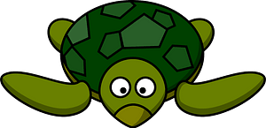 Frowning turtle