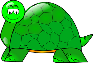 Smiley turtle