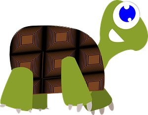 Smiling turtle