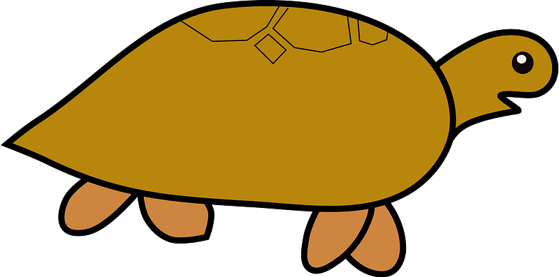 Cartoon brown turtle
