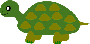 Smiling turtle