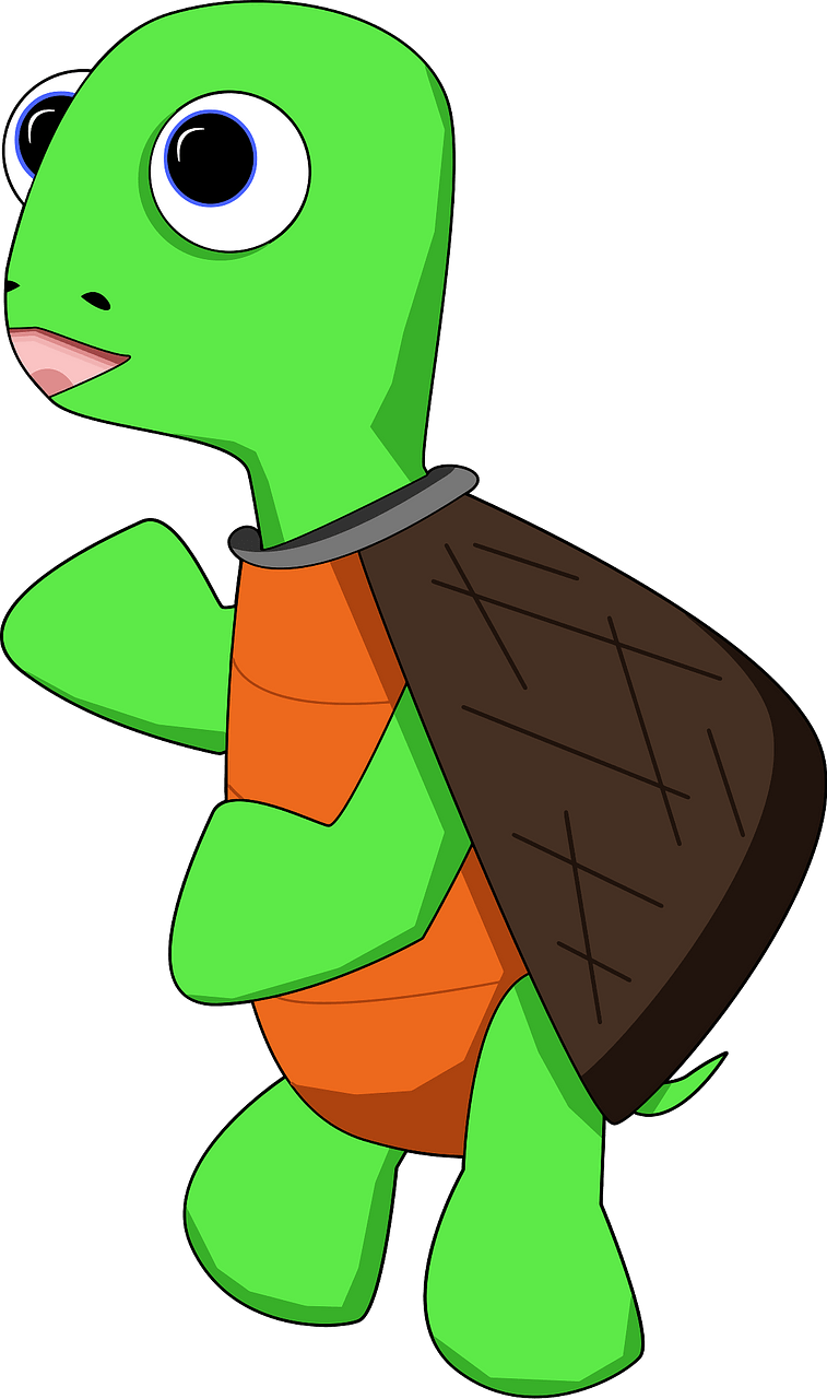 Cartoon turtle