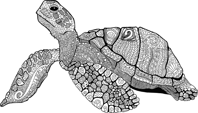 Floral sea turtle - black and white