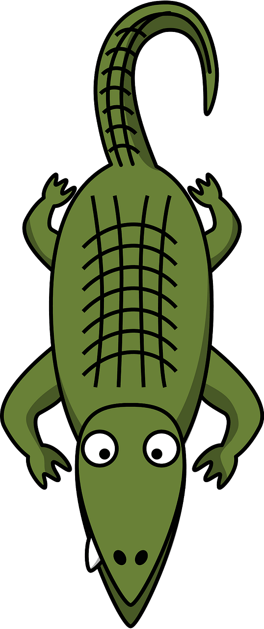 Alligator with big eyes