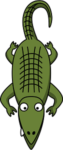 Alligator with big eyes