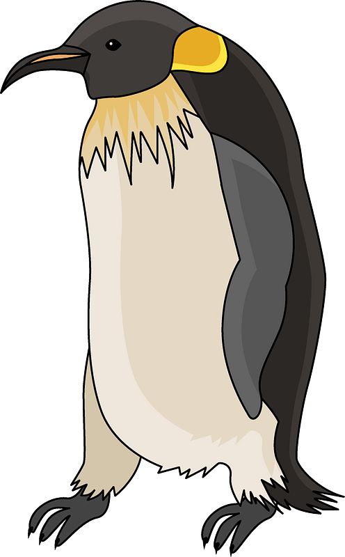 Penguin