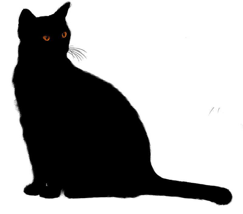 Red-eyed black cat