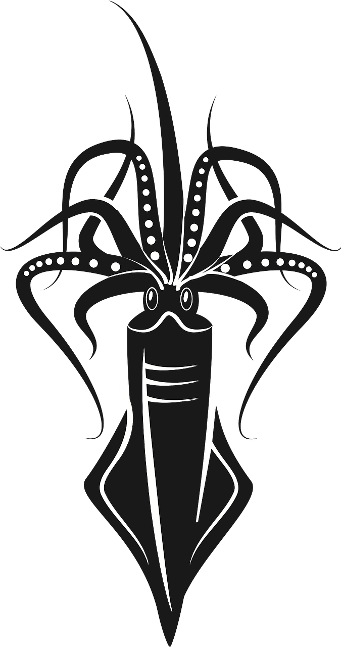 Black squid