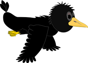 Crow in flight - wings down