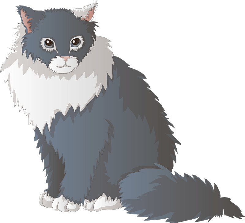 Bicolor cat