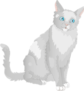 Grey blue-eyed cat