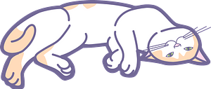 Playful cat