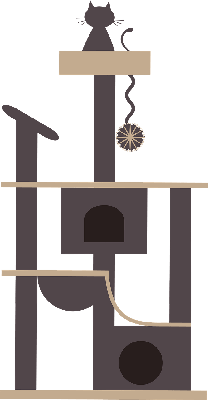 Cat in pet house