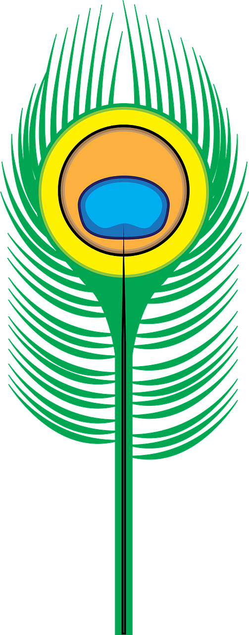 Peacock feather