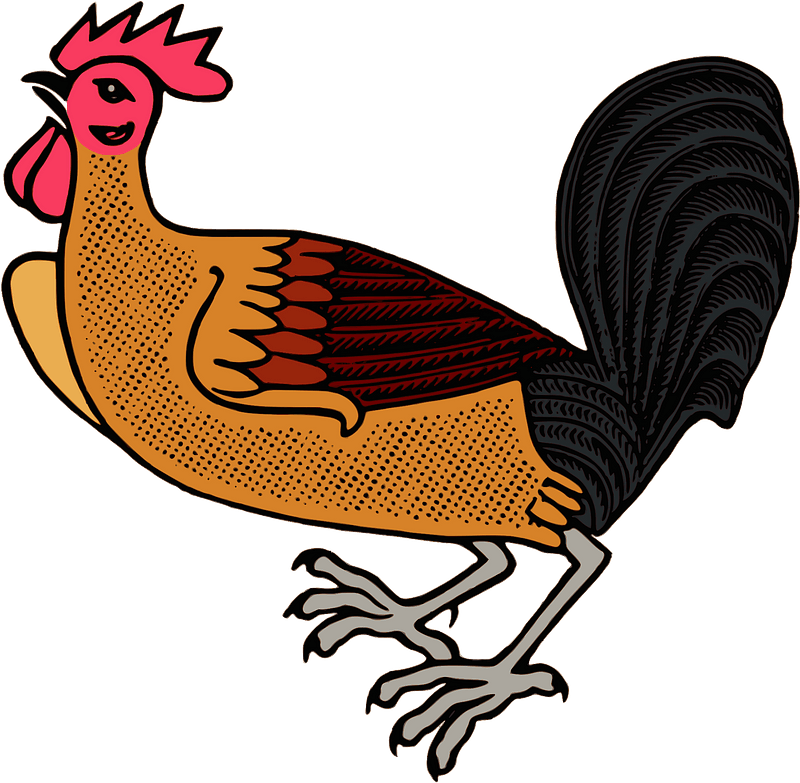 Ayam jago