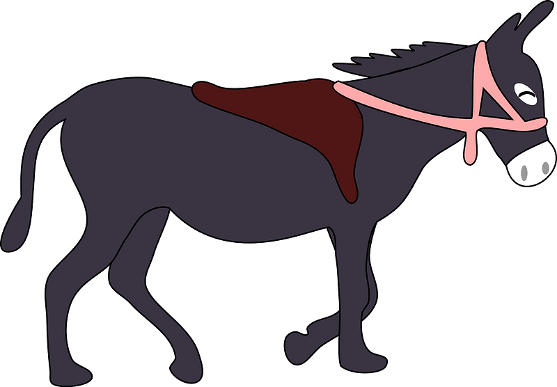 Donkey with saddle