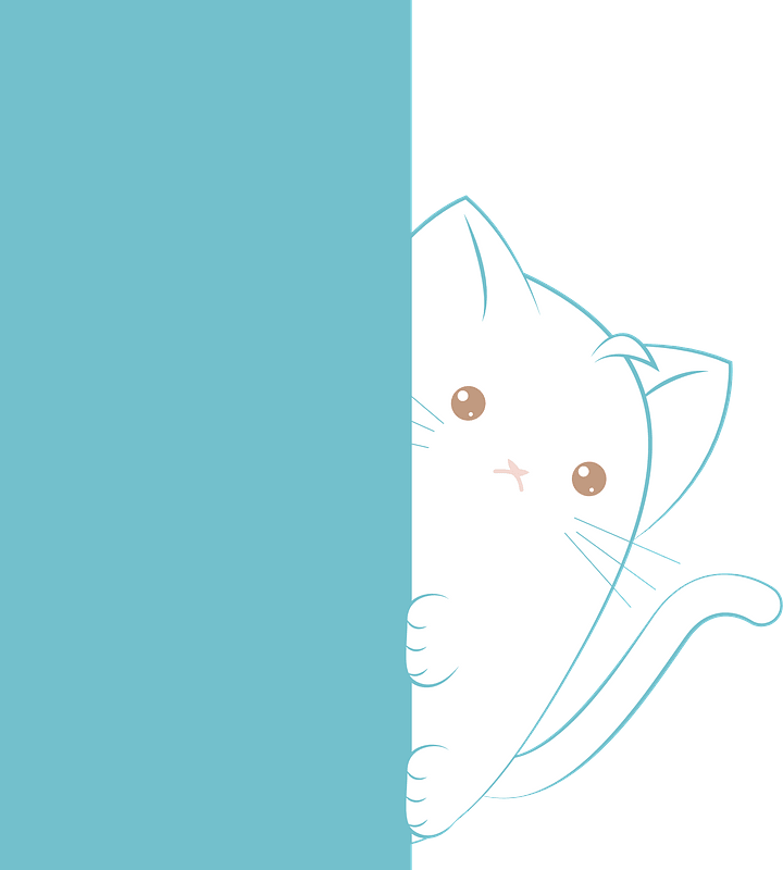 Cat hiding behind a wall