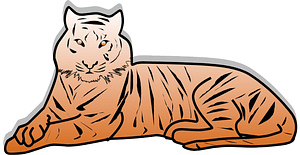 Lying tiger